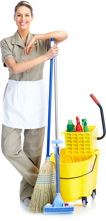 Maids 360